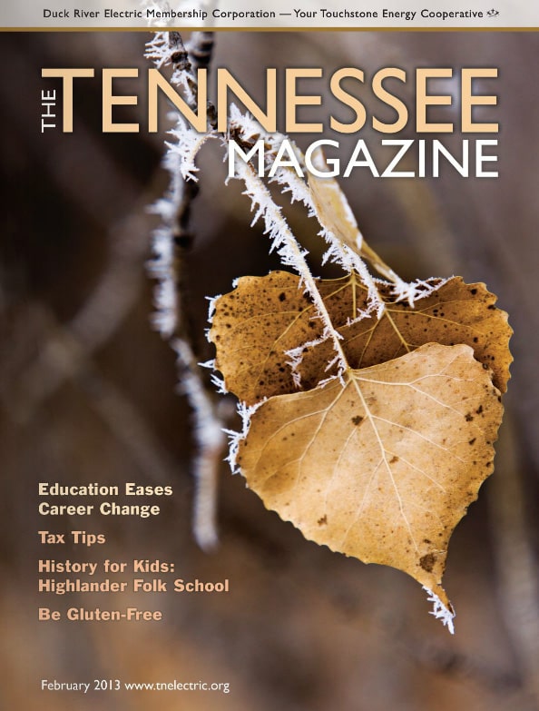 Tennessee Magazine cover for February 2013