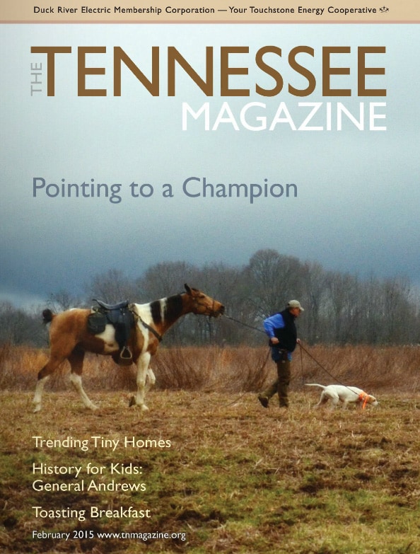 Tennessee Magazine cover for February 2015