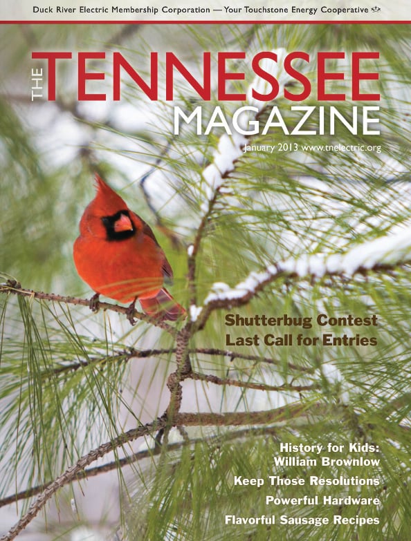 Tennessee Magazine cover for January 2013