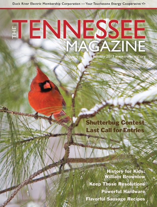 Portada de la revista Tennessee de enero de 2013