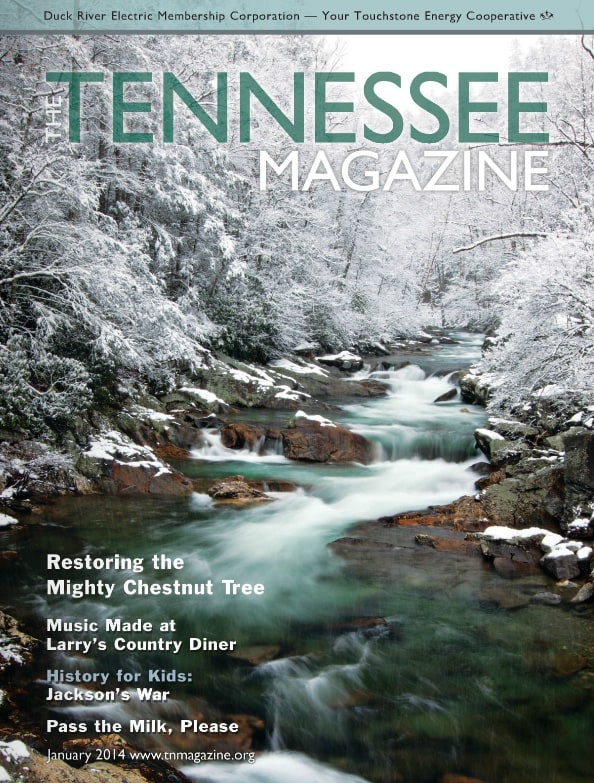 Portada de la revista Tennessee de enero de 2014