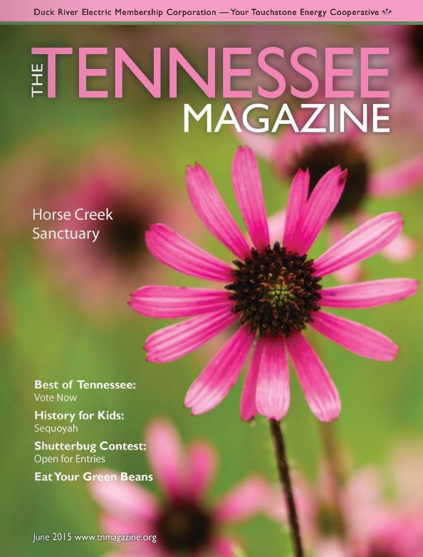 Tennessee Magazine cover for June 2015