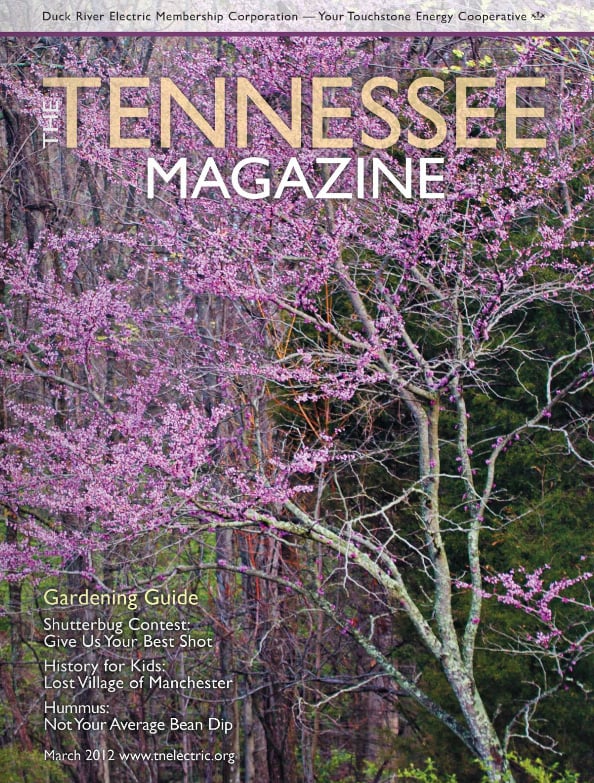 Tennessee Magazine cover for March 2012