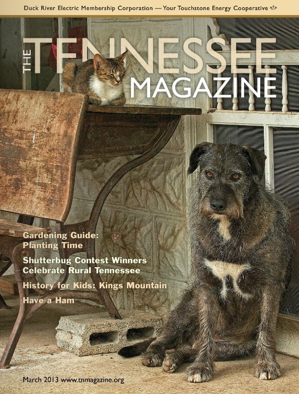 Tennessee Magazine cover for March 2013