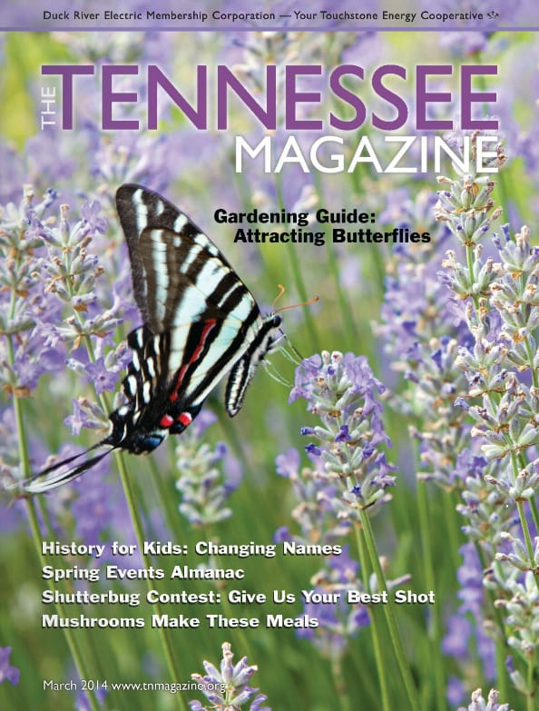 Tennessee Magazine cover for March 2014