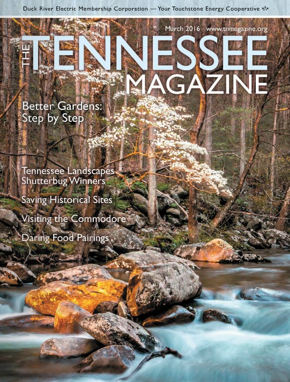 Tennessee Magazine cover for March 2016