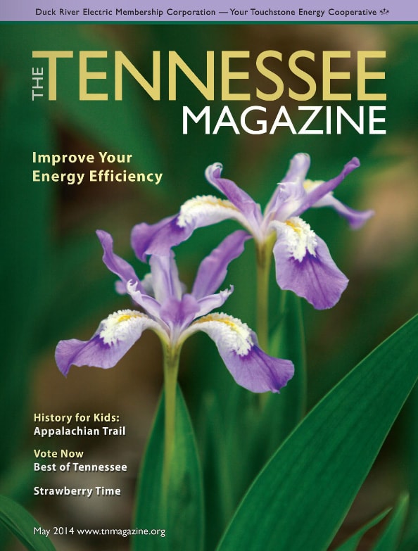 Tennessee Magazine cover for May 2014