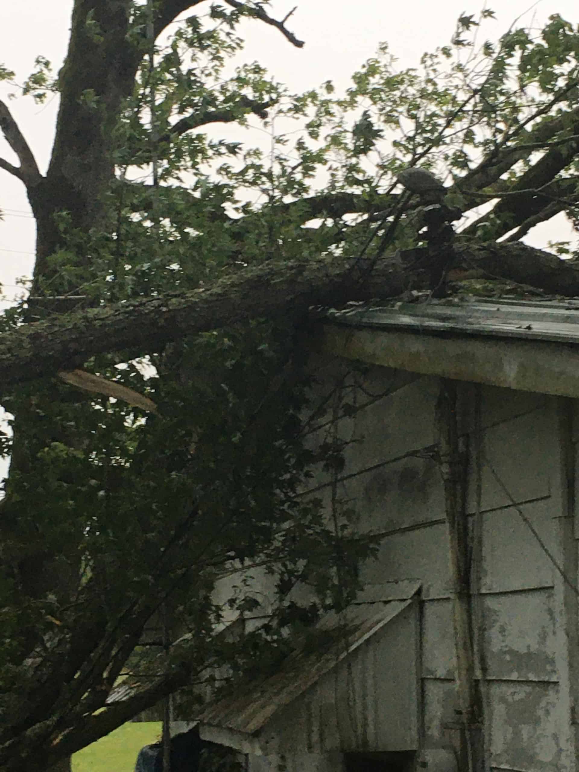 5-3-20 storm damage Severe storm, damaging winds leave 19,000 without power Sunday