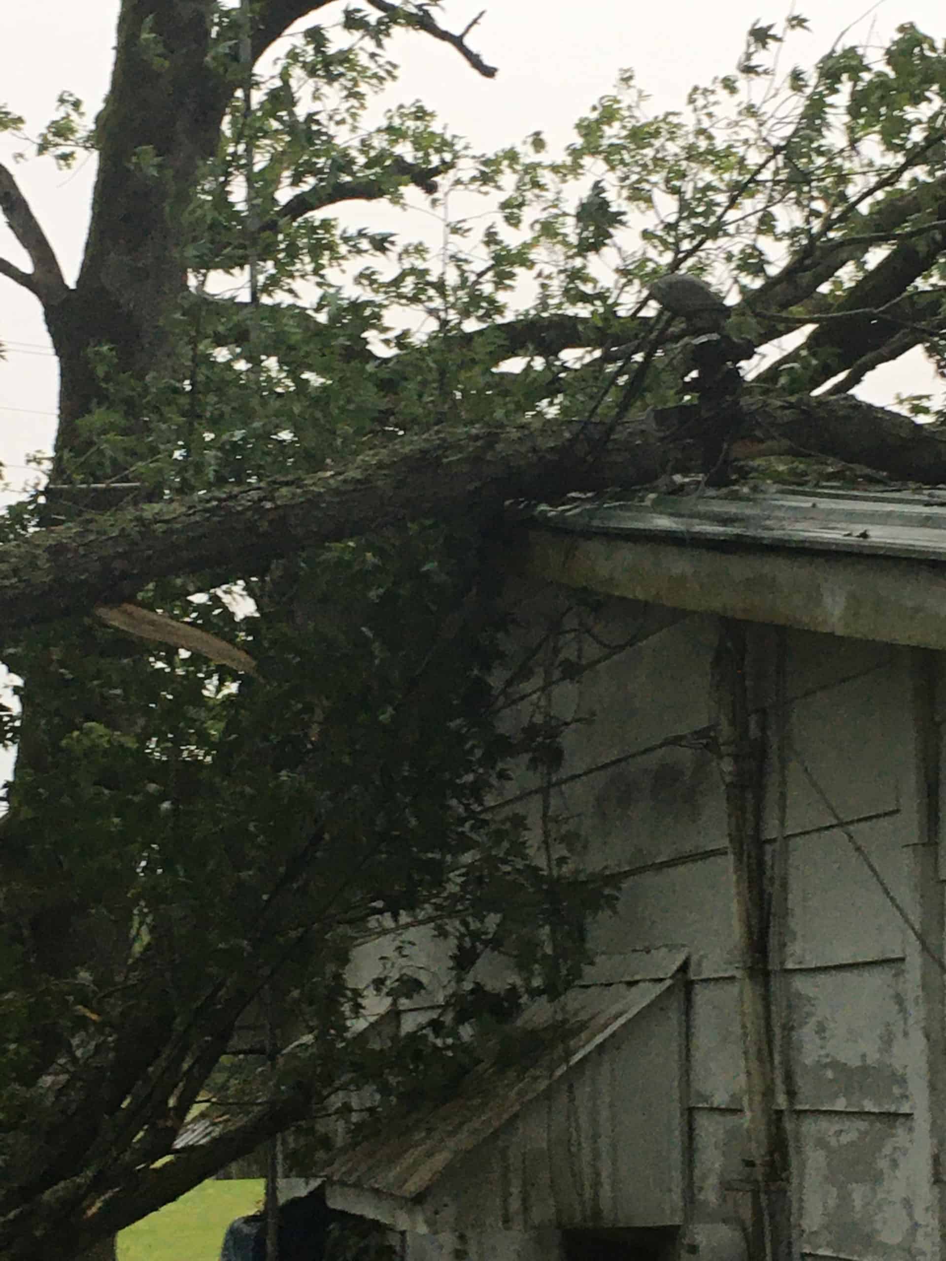 Una fuerte tormenta y vientos dañinos dejan a 19.000 personas sin electricidad el domingo