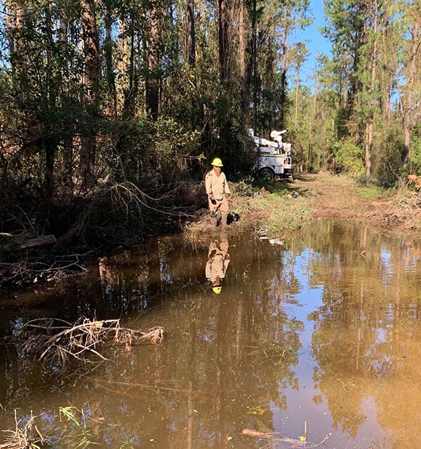 Technician surveying a small pond