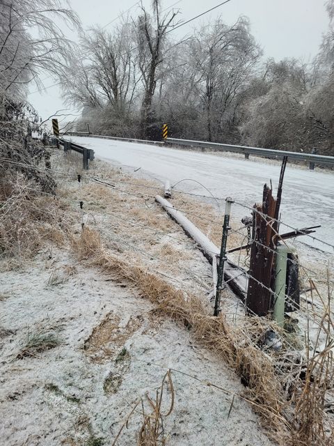 Wintery conditions down power lines