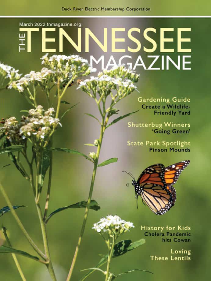 TN Magazine_April 2022