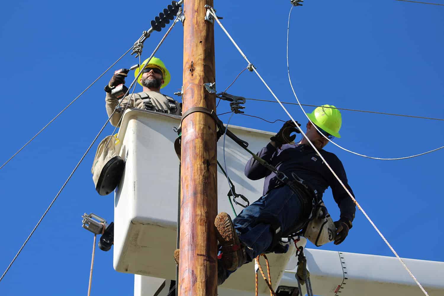 Manchester linemen on pole