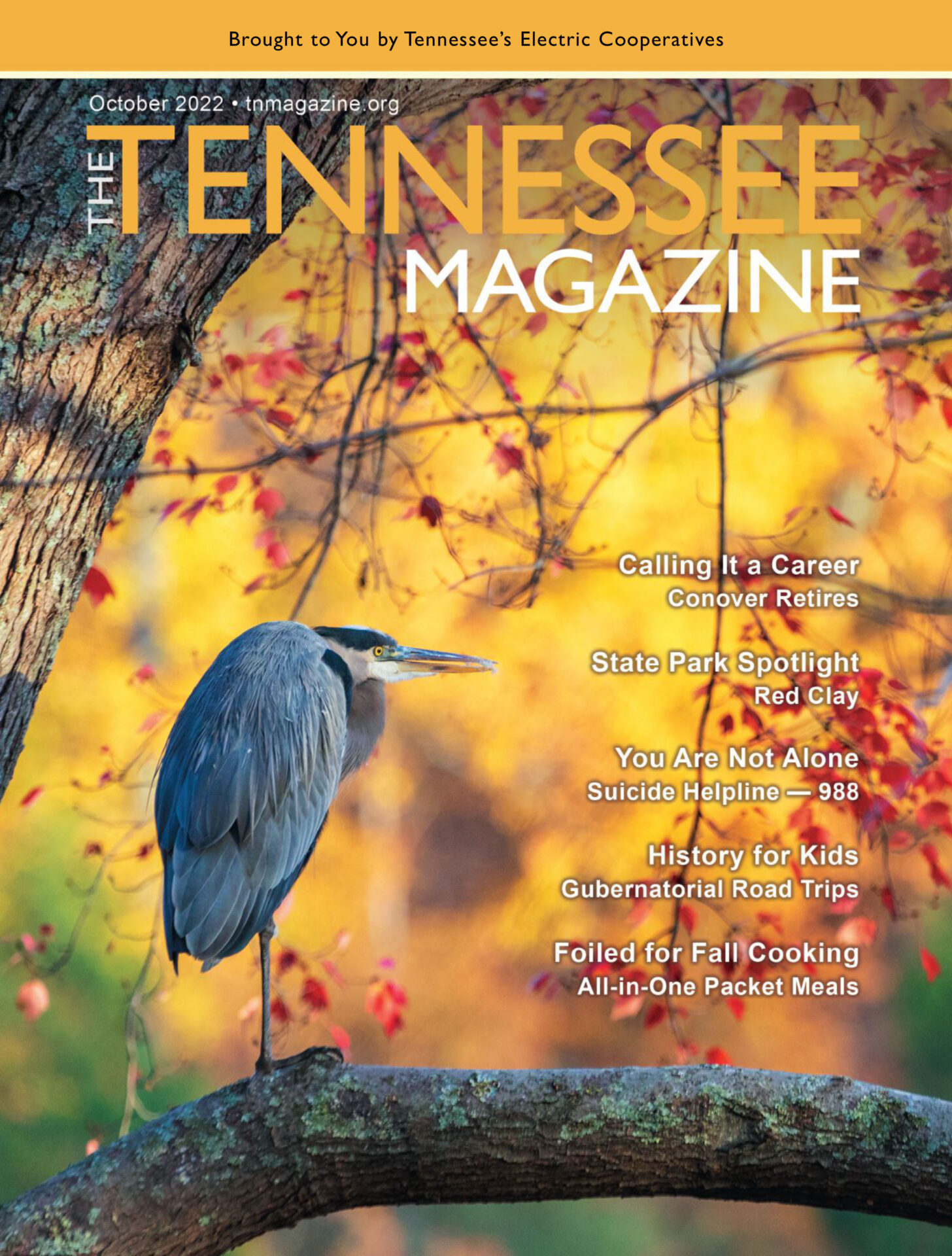 Tennessee Magazine October 2022 cover photo