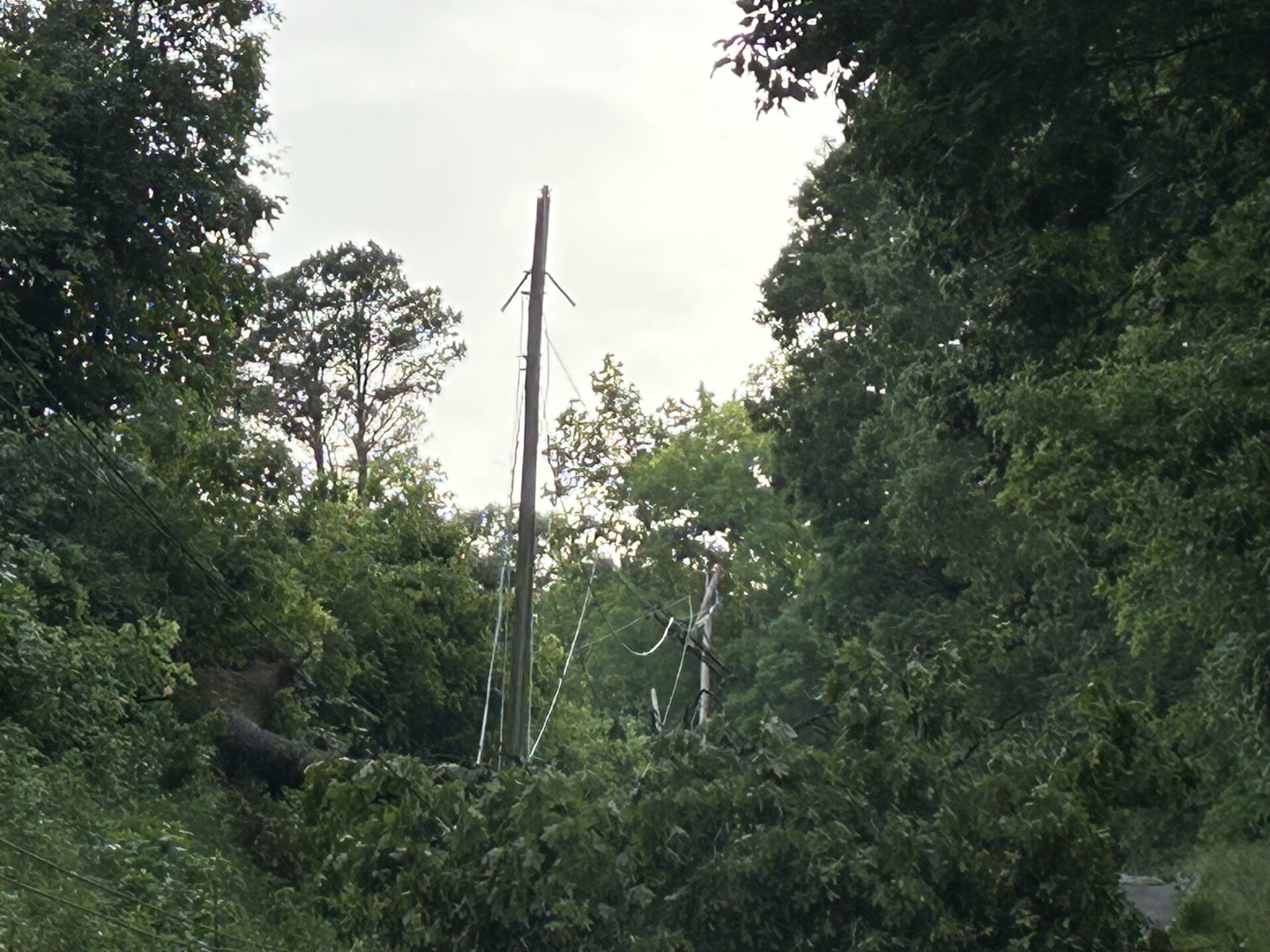 Himes Ln_Franklin County_tree and lines down