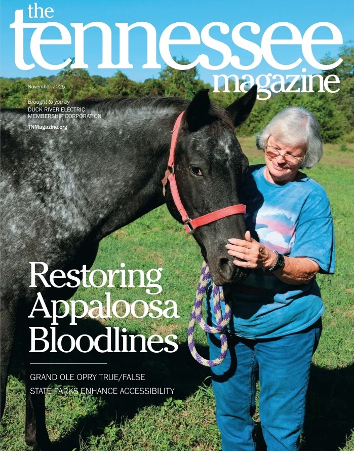 Nov 2025 TN Magazine cover