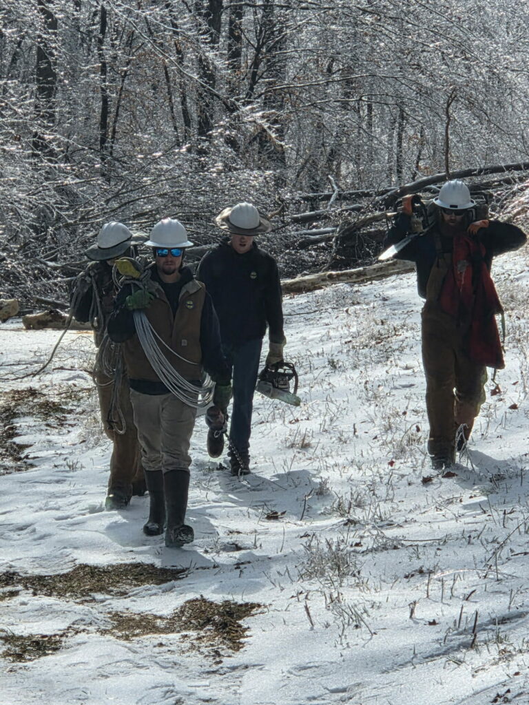 Thurs Midday - quick photo