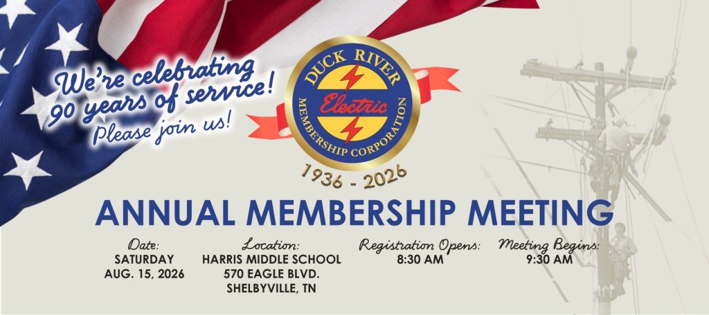 Graphic from bill insert with flag